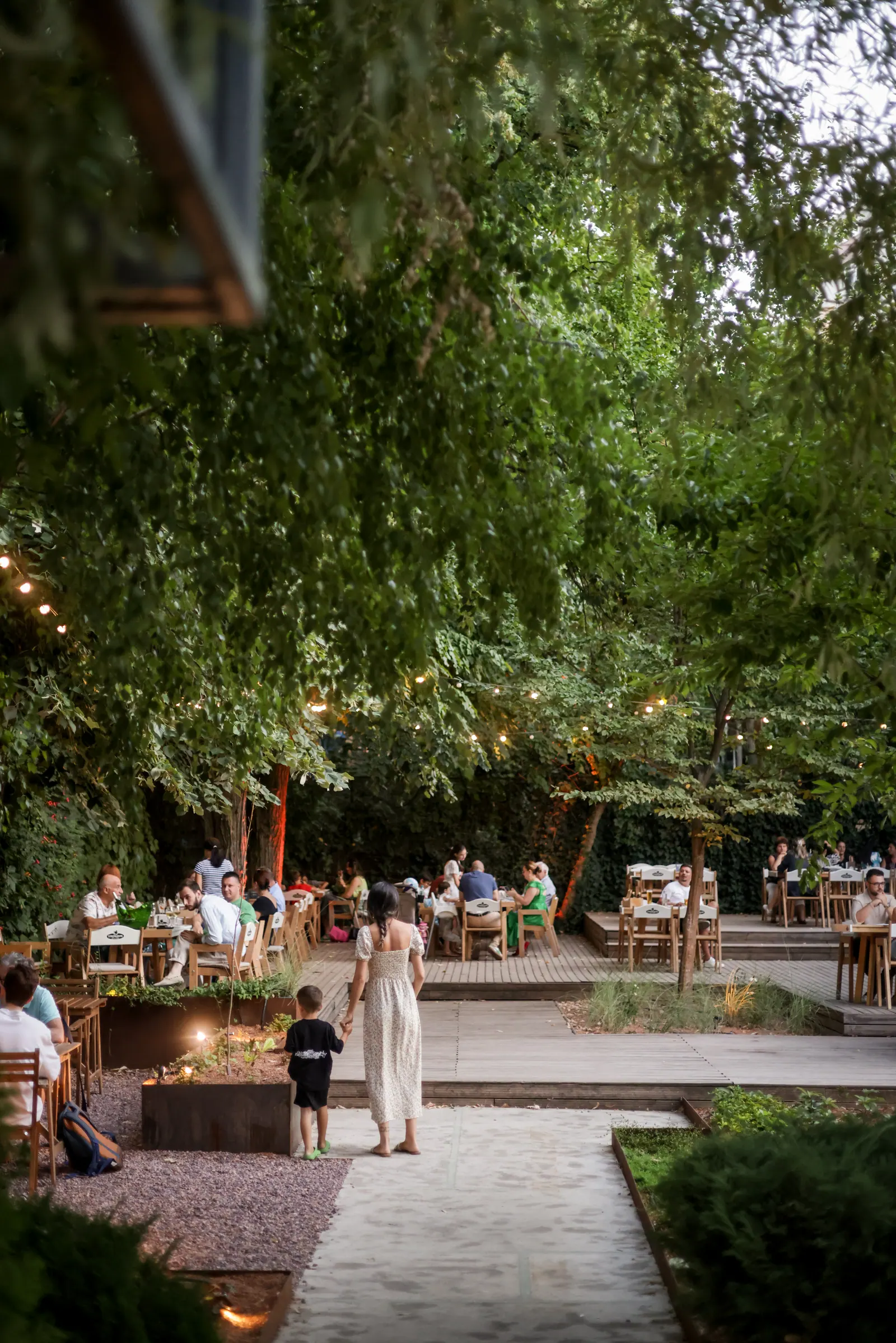 The terrace seen from above in the evening, among trees